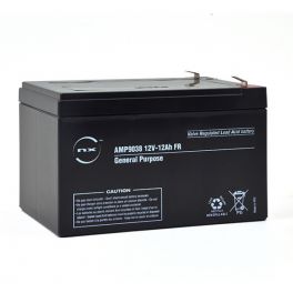 Batterie plomb AGM NX 12-12 General Purpose FR 12V 12Ah F6.35
