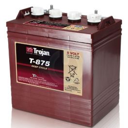 Batterie Trojan 8V